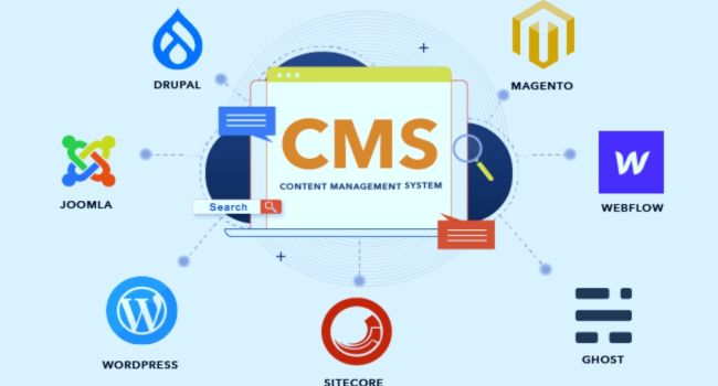 Content Management Systems