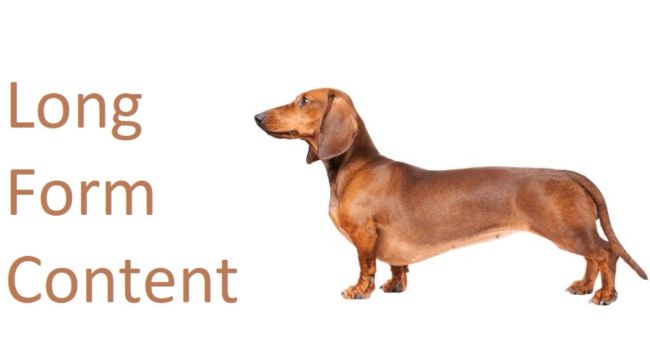 Long Form Content